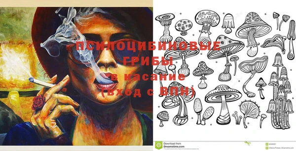 дурь Алексин