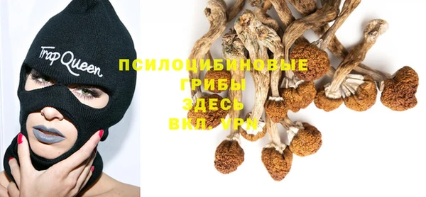 каннабис Абаза